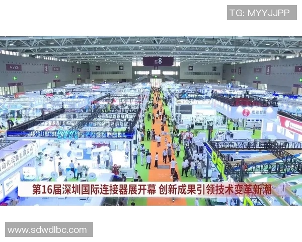 深圳滑板队的协同创新与团队配合的全新变革探讨