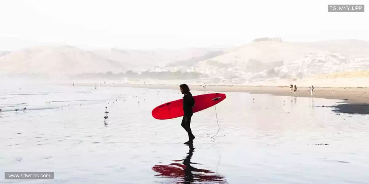 💻专业解说 + 实时互动，全球球迷同频狂欢！💥